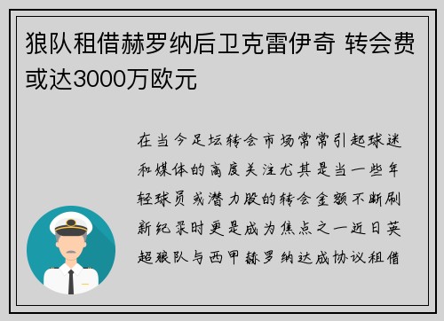 狼队租借赫罗纳后卫克雷伊奇 转会费或达3000万欧元